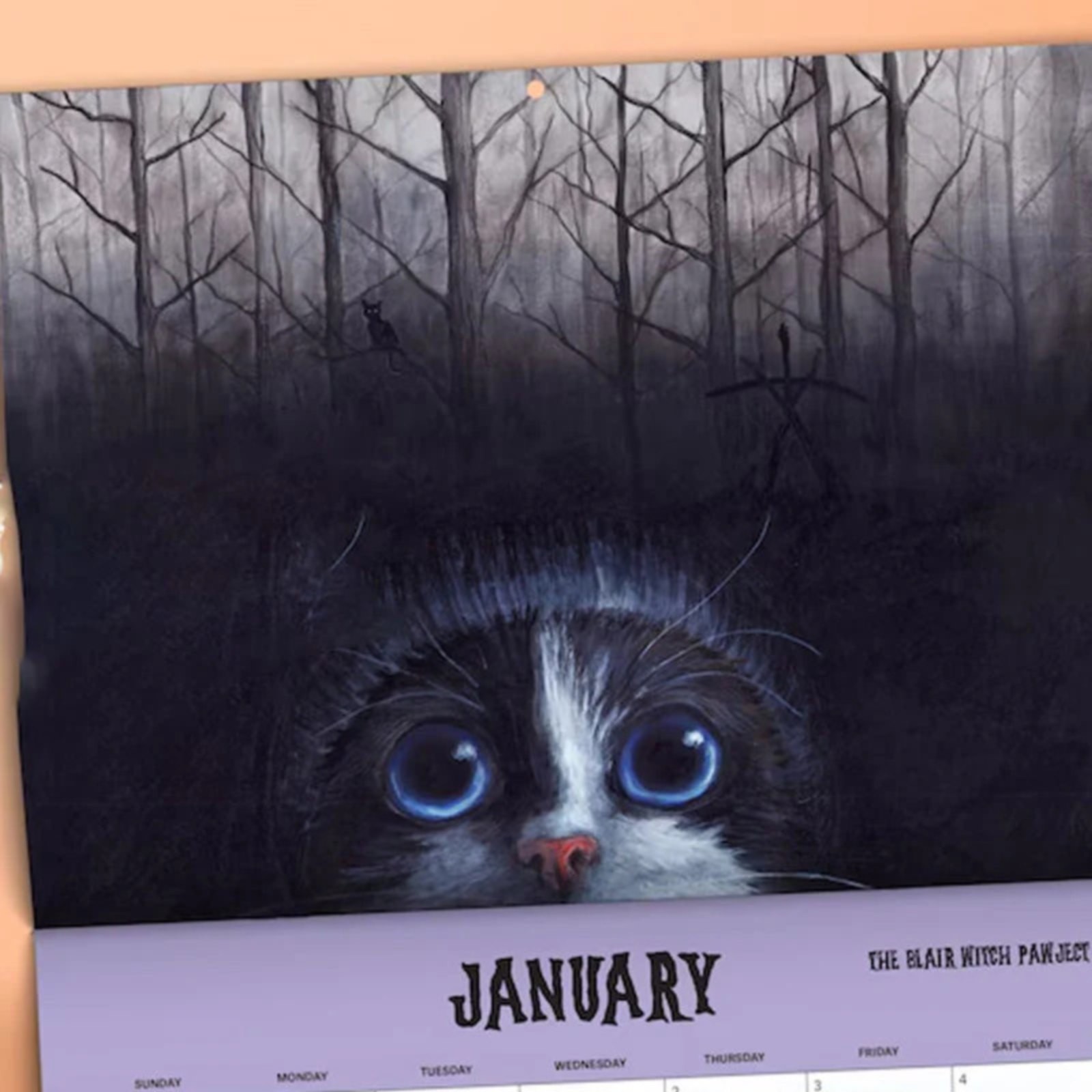 1X Calendar Scaredy Cats 2025 Monthly Calendar The 12 Month Calendar