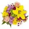 Fresh-Cut Extra Large Mixed Mother's Day Flower Bouquet, Minimum 16 Stems, Colors Vary