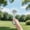 Green, variant on JZCHUNTOY Mini Portable Semiconductor Refrigeration Ice Pack Handheld Fan, 2000mA Battery, 1 Piece