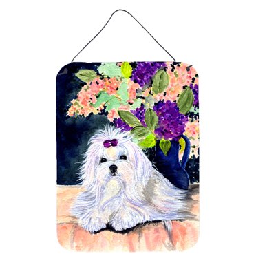 Caroline's Treasures SS8287DS1216 Maltese Wall or Door Hanging Prints, 12x16, multicolor
