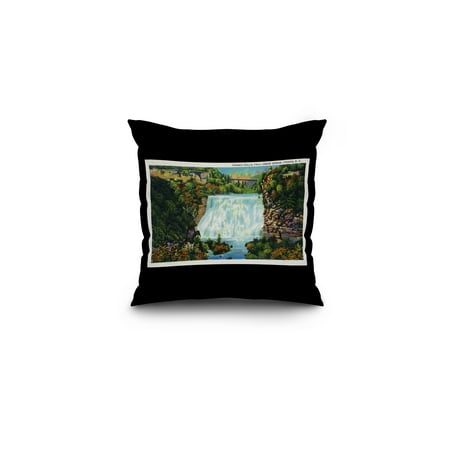 Ithaca, New York - Fall Creek Gorge View, Ithaca Falls Scene (16x16 Spun Polyester Pillow, Black
