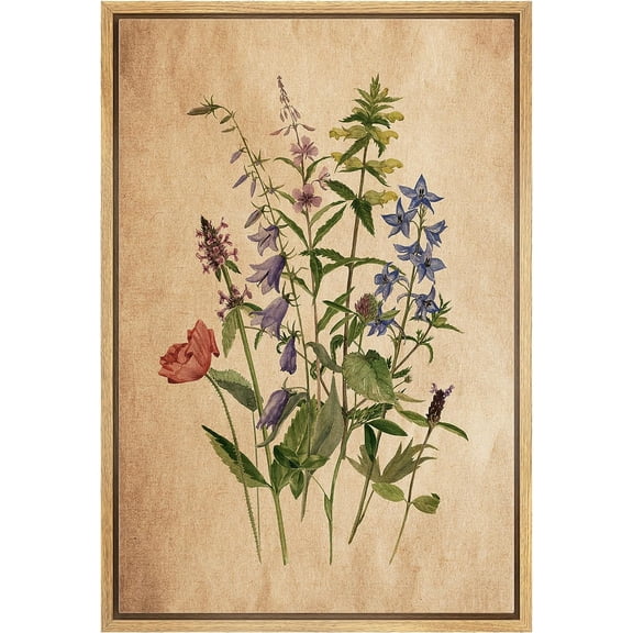 PixonSign Framed Canvas Print Wall Art Retro Antique Wildflower Still Life Nature Wilderness Illustrations Modern Art Botanical Floral Farmhouse/Country Relax/Calm/Cozy - 16"x24" Natural