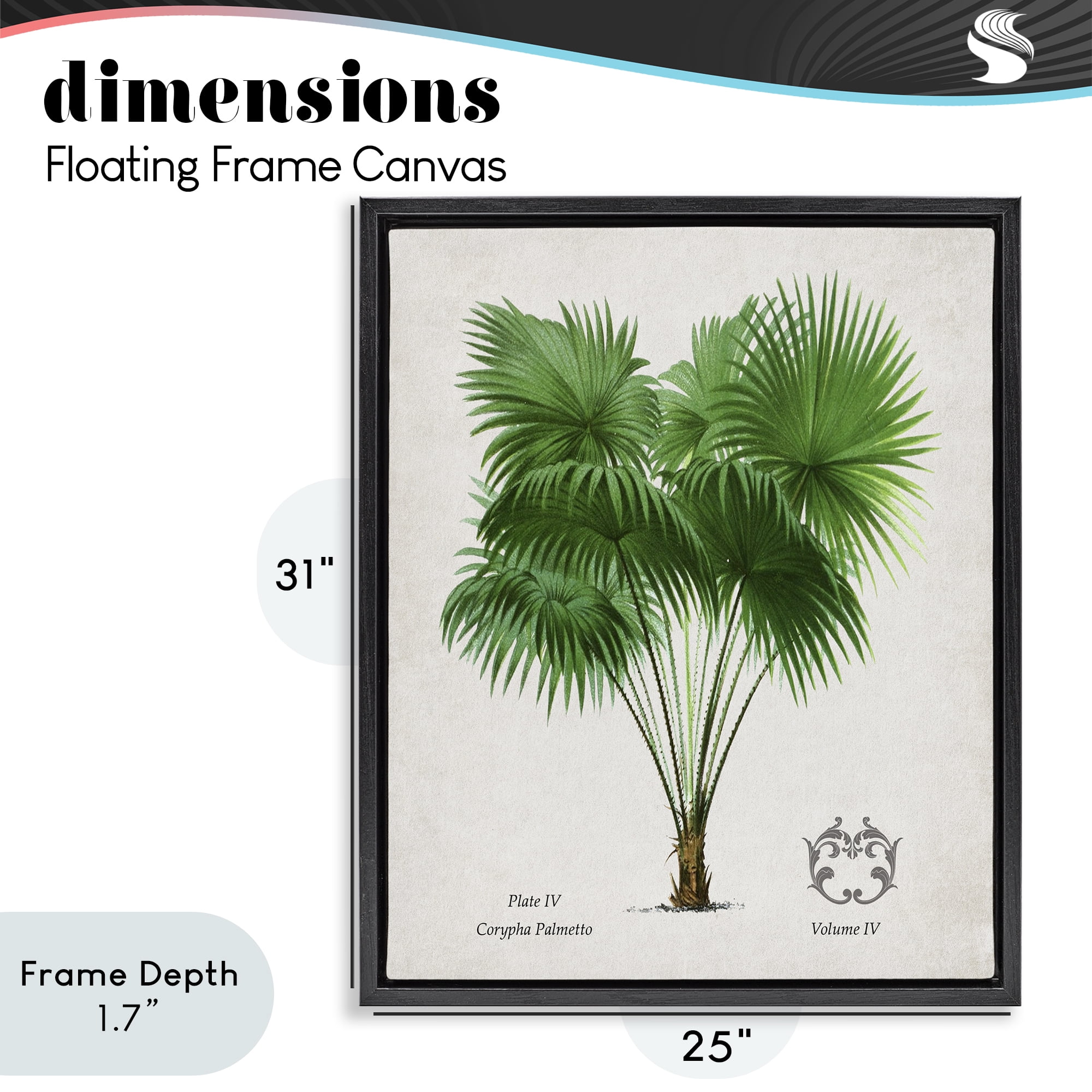 Stupell Industries Fan Palm Vintage Study Black Framed Floater Canvas Wall Art, design by Val Rhodes