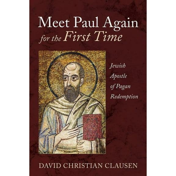 Meet Paul Again for the First Time (Hardcover)