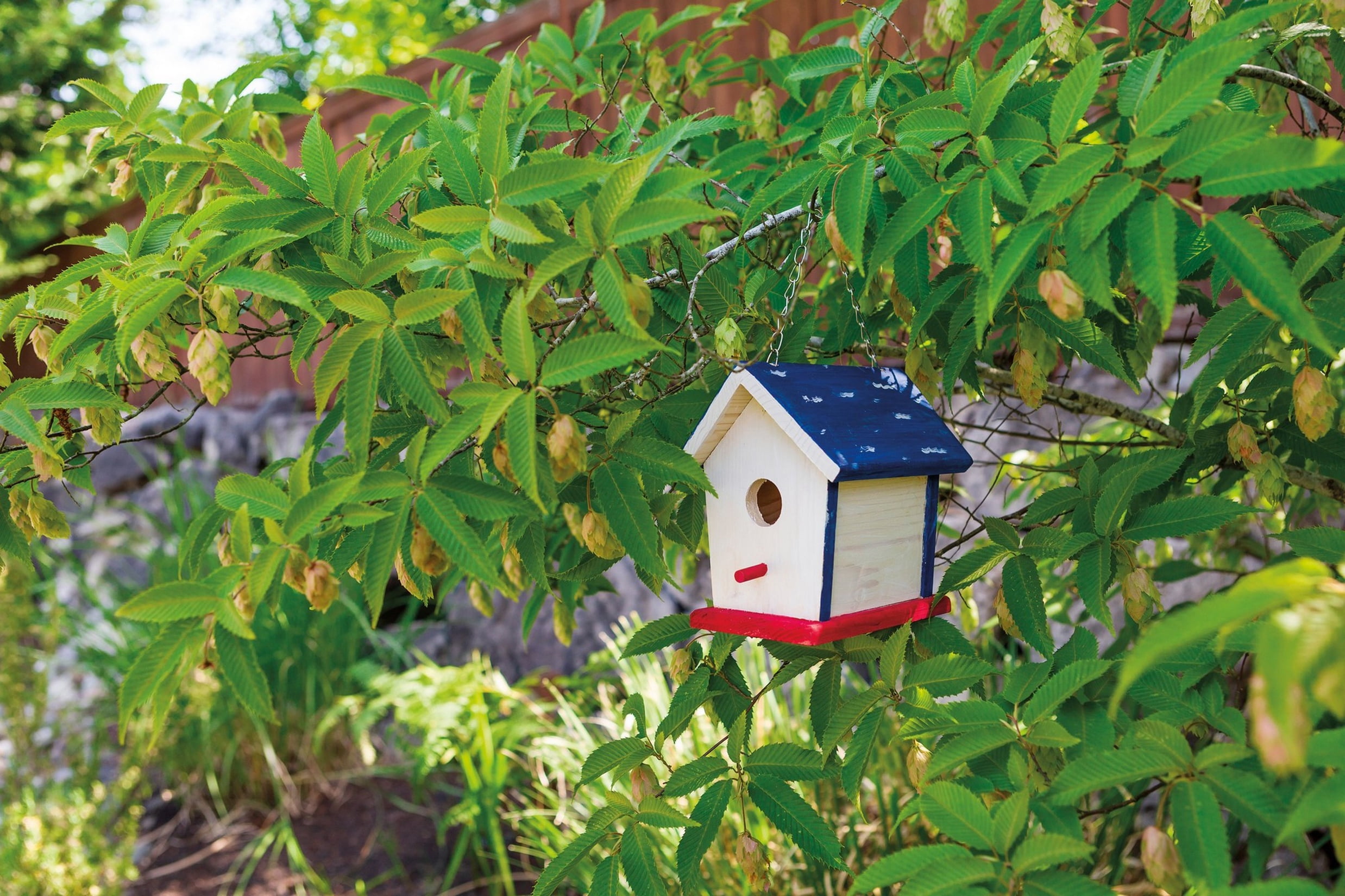 Toysmith Paint a Bird Base (House) Craft Kit