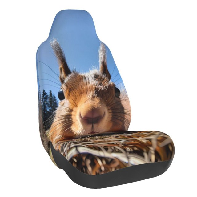 Wukai Close-Up Curious Squirrel Full Set Car Seat Covers with Soft Padding Universal Auto Front Seats Protector and Cushion Mat