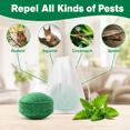 thumbnail image 3 of Vamoo 10-Pack Vamoose of All-Natural Rodent Repellent Pouches, Safe & Long.Lasting Mice & Rat control, No Harsh chemicals, 3 of 7