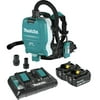 Makita XCV10PTX 18V X2 (36V) LXT Brushless Lithium-Ion 1/2 Gallon Cordless Backpack Dry Dust Extractor Kit with HEPA Filter, AWS Capable, and 2 Batteries (5 Ah)