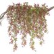 thumbnail image 2 of 2 uds de guirnalda de hiedra artificial CHAO 78cm, 2 of 4