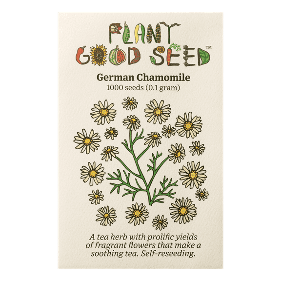 Plant Good Seed Organic German Chamomile Seeds: Fragrant Annual Tea Flower Herb - 1,000 Seed Packet