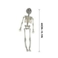 thumbnail image 2 of Halloween Skeleton Life Size,Skeleton Decor 15.75inch Full Body Skeleton with Posable Movable Joints for Halloween Decorations,Graveyard Props,Ghost House Accessories,Spooky Scene Party Favors, 2 of 2