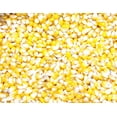 thumbnail image 4 of 2 Lbs Lady Finger Ladyfinger Popcorn Seed Heirloom OP Open Pollinated Non-GMO Garden 2 Lb Pound Pounds By JL Missouri Parts, 4 of 6