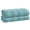 Aqua-Cyan, variant on PREMIUS 2 Pack Circles 100% Cotton Yarn Dyed Bath Towel, Steeple-Gray, 27x54 Inches