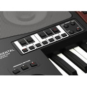 Korg PA700 Oriental Quarter Tone 61 Key Arranger