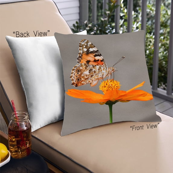 Ahgly Company Insects Butterfly Outdoor Throw Pillow, 18 inch by 18 inch