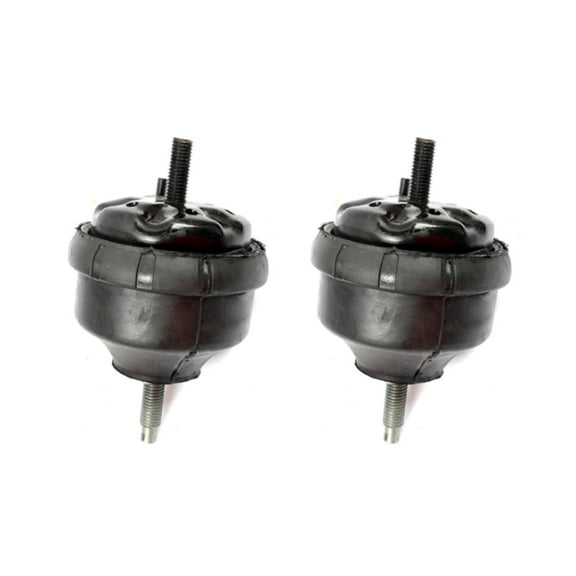 For 02-09 Trailblazer Envoy 04-07 Buick Rainer 4.2L Front L & R Mount Set 2PCS MK5137x2 M976