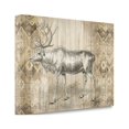 thumbnail image 2 of Tangletown Fine Art 'Natural History Lodge IX' Graphic Art Print on Canvas, 2 of 2