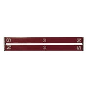 6 in. Delta Education Alnico Bar Magnets, Red & Blue - Pack of 2