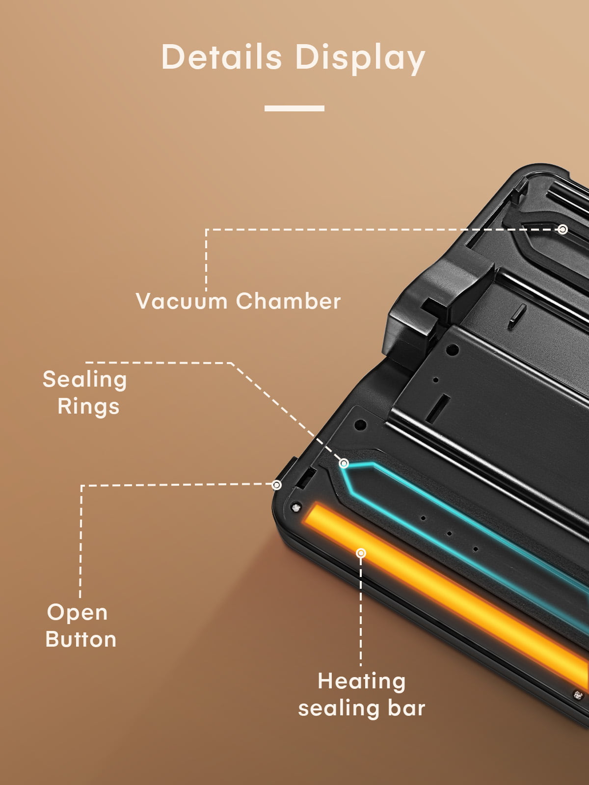 Automatic Vacuum Sealer – sunglife