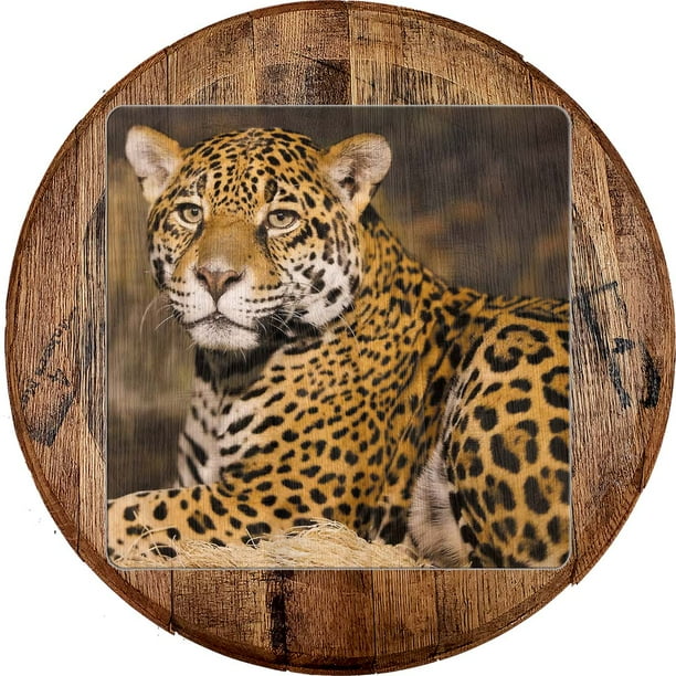 Bar Sign African Leopard Wildlife Cheetah Jungle Cat Wall Decor Art Com - African Leopard Wall Decor Bar Sign African Leopard Wildlife Cheetah Jungle Cat Wall Decor Art Com - African Leopard Wall Decor