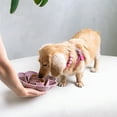 thumbnail image 3 of Dexypaws: Flower Slow Feeder - Blush Pink - Dog & Pet Mealtime Accessory, Fits Into Most 8" Bowls, Suction Base, Safe & Non-Toxic, Food-Grade Silicone, 3 of 7
