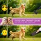 thumbnail image 4 of Pala para recoger excrementos, pala para recoger excrementos de 28 cm para perros y gatos, mango fácil de apretar y resortes de alta tensión, 4 of 4
