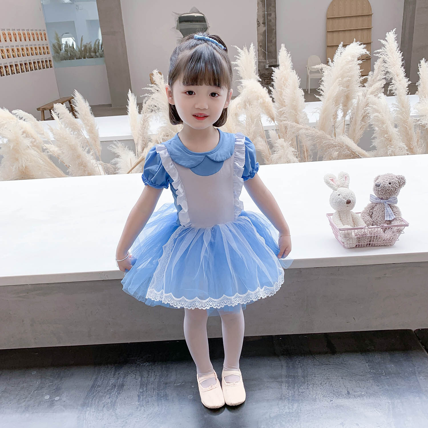 Phenas Ballet Leotards Frozen Tutu Dress for Toddler Girls Ballerina Outfits Dance Costume Dancewear with Tulle Skirt Walmart