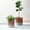 Flora - Clay, variant on Fab Habitat Gaia Handmade Sphere Metal Planter in Mocha Charcoal – Indoor/Outdoor, Lightweight with Drainage Hole