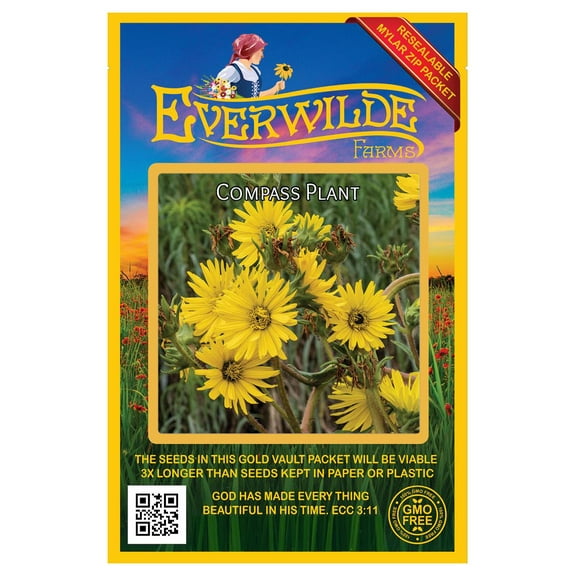 Everwilde Farms - 20 Compass Plant Native Wildflower Seeds - Gold Vault Seed Packet