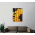 thumbnail image 2 of Day Dream HQ Yellow Sunflower Inside & Outside Wood Wall Art - 28 x 36 in., 2 of 3