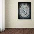 thumbnail image 3 of Trademark Fine Art 'Letter S' Canvas Art by LightBoxJournal, 3 of 3