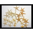 thumbnail image 4 of Calcastle Natural Real Starfish Sea Star Star Fish (Natural, 1"-2" (Small) - 60 Pcs), 4 of 4