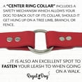 thumbnail image 6 of Regal Dog Products Waterproof Collar & Leash Set - Heavy Duty Center Ring Collar & 5' Leash, 6 of 8