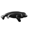 thumbnail image 2 of Sierra Lifestyles SL-681556 Manatee Cabinet Pull, Pewter, 2 of 4