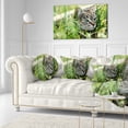 thumbnail image 3 of Designart Lovely Kitten in Grass - Animal Throw Pillow - 12x20, 3 of 5