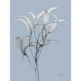 thumbnail image 3 of Koetsier, Albert 19x24 Black Modern Framed Museum Art Print Titled - Skyway Oleander Bush, 3 of 5