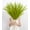 9 Pcs 45" Green Style, variant on 9 Pcs 45" Tall Pampas Grass White Decor, Long Stem Artificial Flower Floor Vase Large Faux Floral Pompas Fake Plants Dried Bouquet Arrangement Vase Filler for Boho Home Wedding Decoration