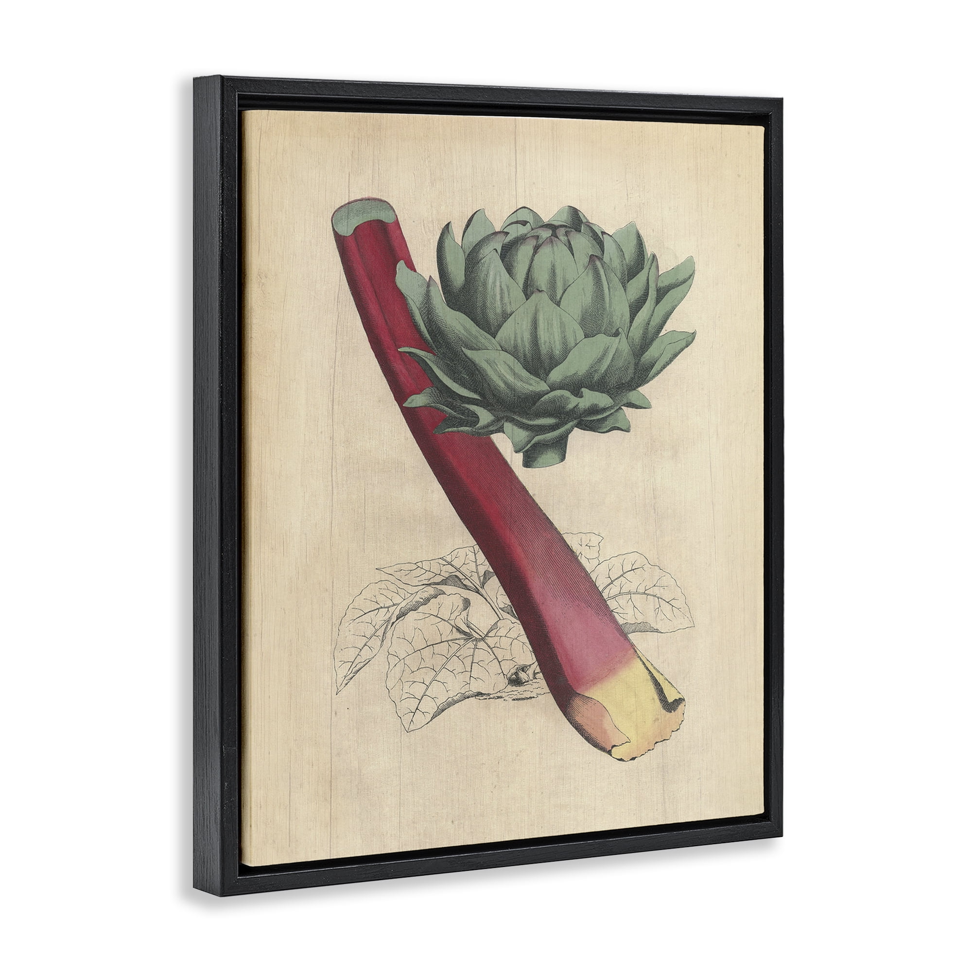 Stupell Industries Vintage Vegetable Studies Food & Beverage Painting Black Floater Framed Canvas Art Print Wall Art, 17 x 21
