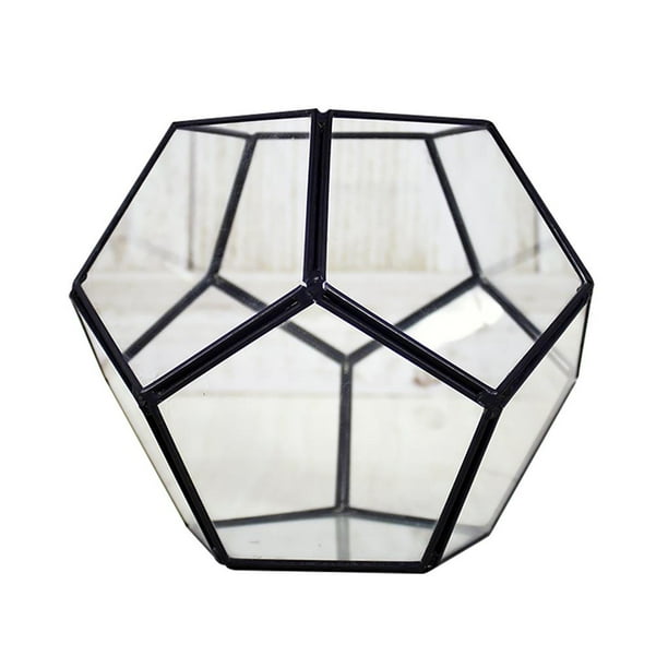 Toystoory Contenedor de terrario geométrico de vidrio moderna Decoración de alféizar de ventana Maceta Balcón Maceta Caja de exhibición de Decoración del hogar Transparente y Negro Toystoory HA025640-01