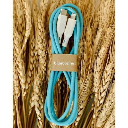 Bluebonnet - 4' USB-C to Lightning Charging Cable - Blue