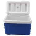 thumbnail image 4 of Boîte de Refroidissement pour Insuline Portable à Grande Capacité de Charge Réfrigérateur de Refroidissement pour Insuline pour Pique-Nique Pêche en Rivière Camping Type2 3,6 L, 4 of 20