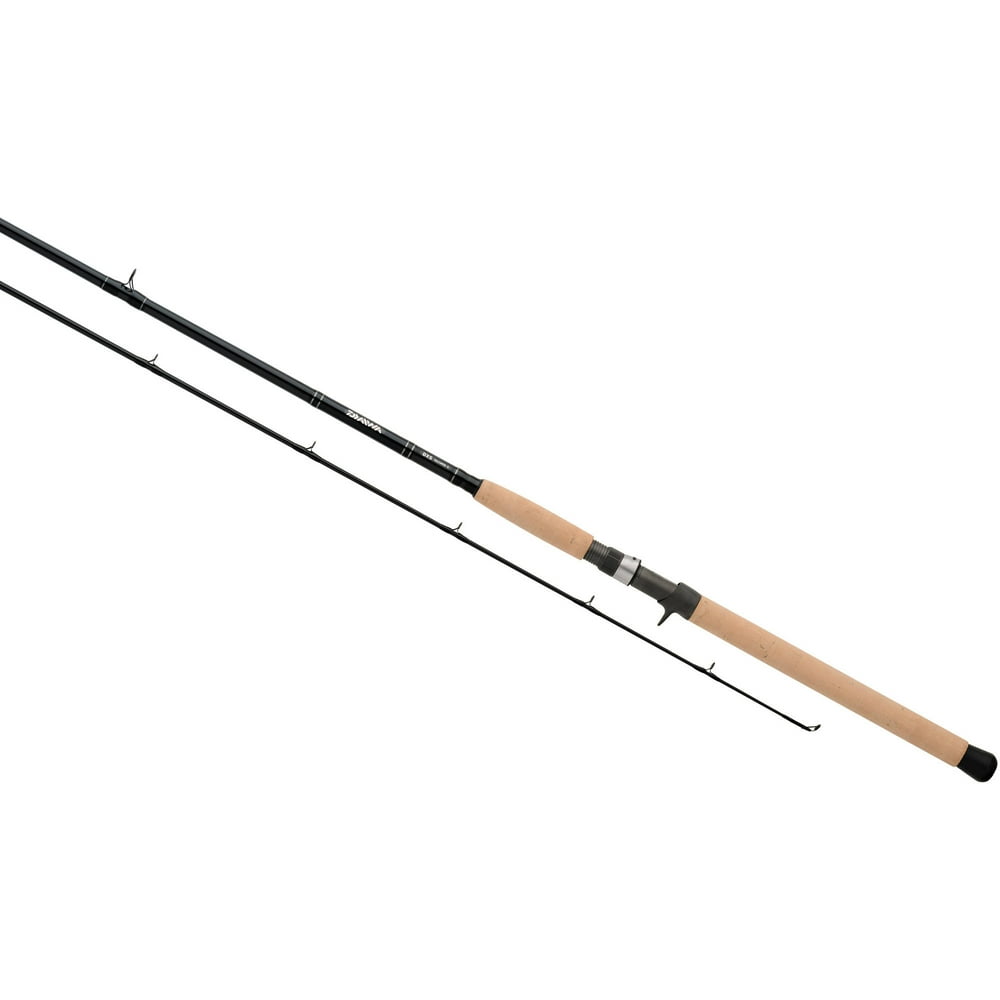 Daiwa DXS Salmon and Steelhead Casting Rod, 9'6" Length, 2Piece Rod