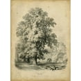 thumbnail image 2 of Barnard, George 15x18 White Modern Wood Framed Museum Art Print Titled - The Elm, 2 of 4