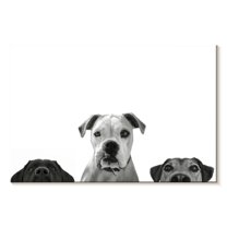 Elephant Stock Curious Dogs Wall Art - Horizontal Canvas Wall Art - Living Room Wall Decor - Animal Canvas - White And Gray Decor - 12" x 8"