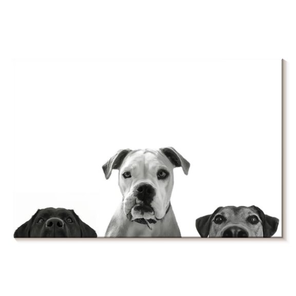 Elephant Stock Curious Dogs Wall Art - Horizontal Canvas Wall Art - Living Room Wall Decor - Animal Canvas - White And Gray Decor - 12" x 8"
