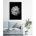 thumbnail image 2 of IDEA4WALL Framed Canvas Art Wall Decor Chrysanthemum Floral Flower Photography Minimalism Modern Closeup Dramatic Black and White for Dorm Home Office - 24"x36", 2 of 4