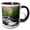 Black/White, variant on 3drose, Great Smoky Mountains, Alum Cave Creek, 11oz Magic Transforming Mug