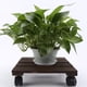 thumbnail image 1 of Soporte de planta en maceta con ruedas Carrito Cuadrado Maceta Carro de madera Los 35x35cm Sharpla carrito de jardinera de rodillos, 1 of 8