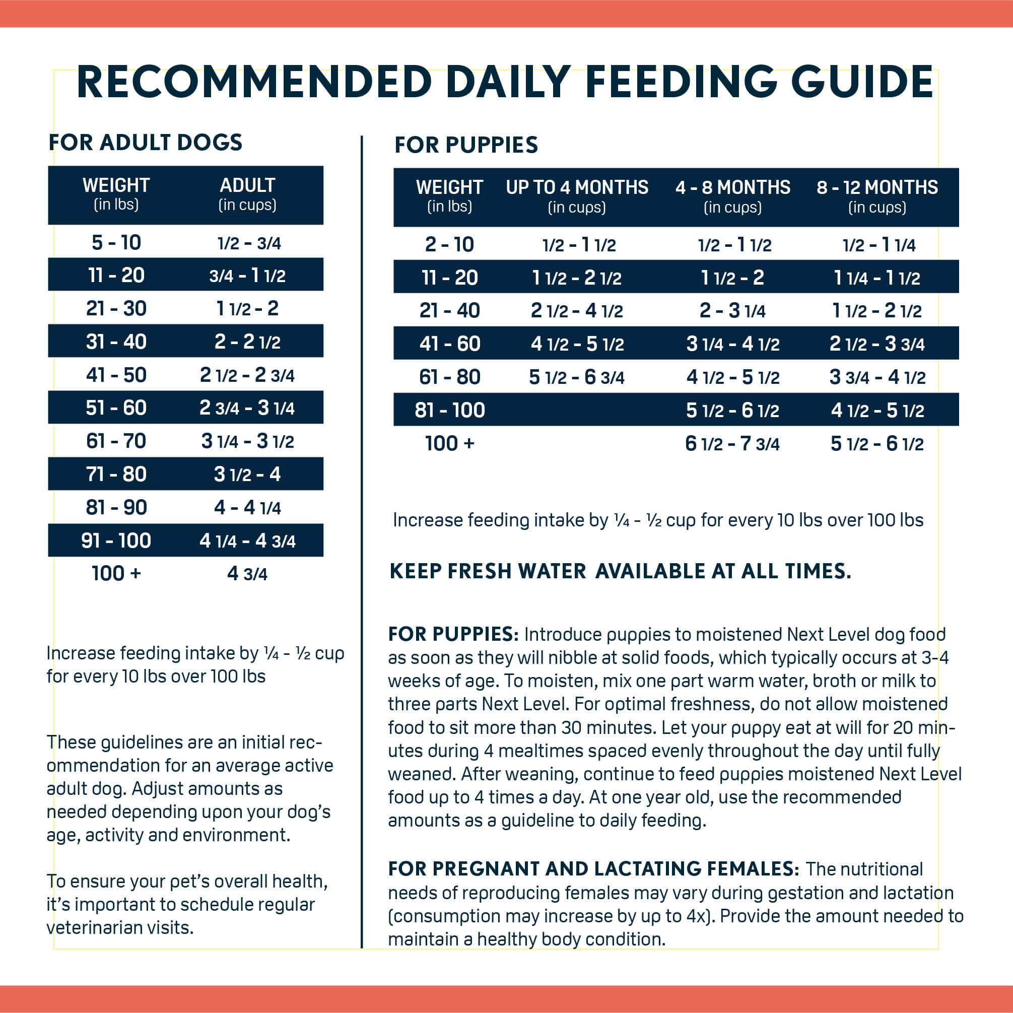 Next Level Salmon River Grain-Free Skin & Coat Recipe Dry Dog Food, 15 lb Bag