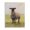 Rustic Sheep Portrait_v1, variant on Stupell Industries Farmhouse Spirit Horse with Flowers Canvas Art, 16 x 20, by James Wiens